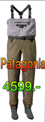 patagonia